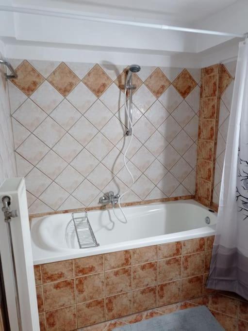 Trikala Alex House Apartment Exterior foto