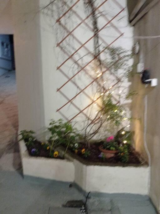 Trikala Alex House Apartment Exterior foto